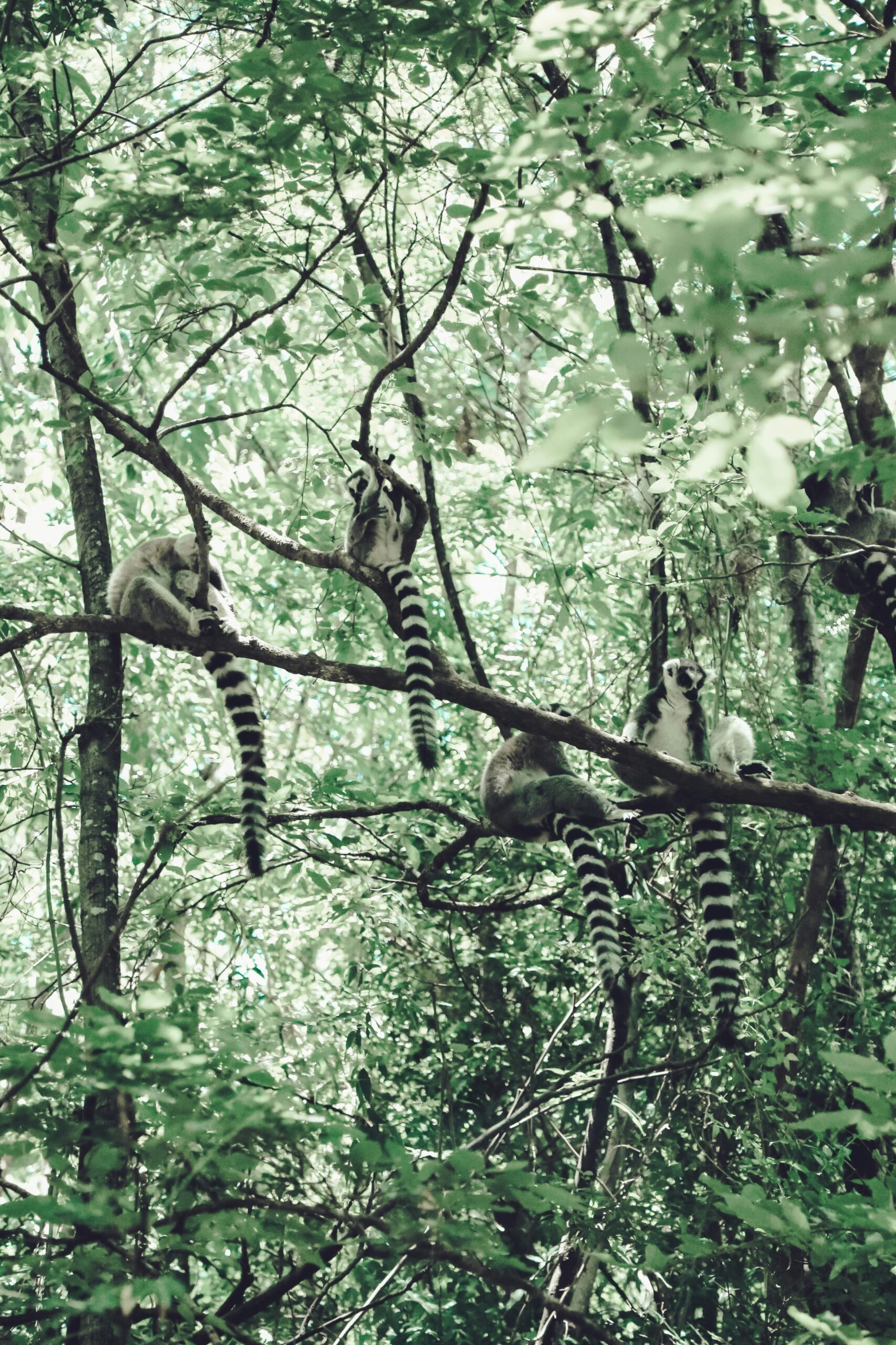 graphic node pxn6nmy3wew unsplash